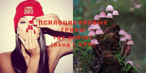 индика Магадан