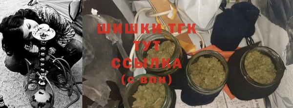индика Магадан