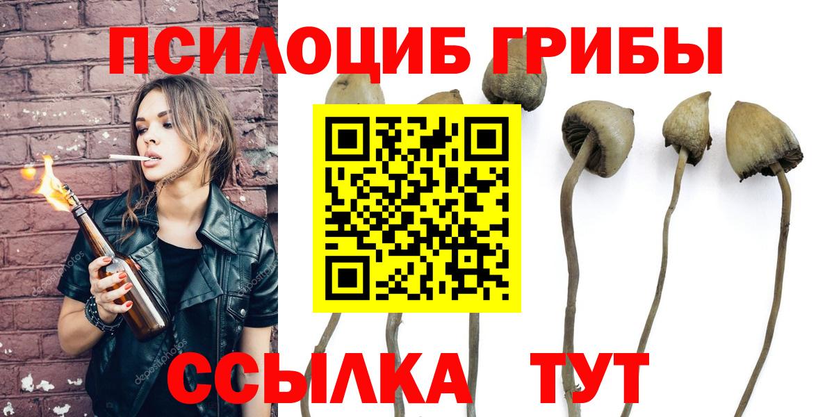 Рязань  Псилоцибиновые грибы мухоморы  Галлюциногенные грибы Magic Shrooms  Вход с VPN 