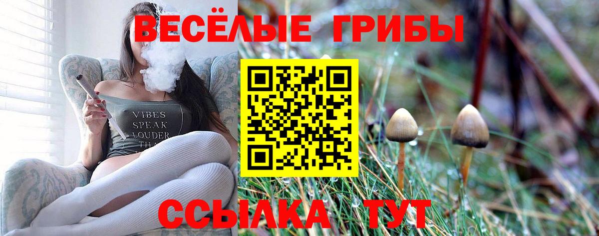 Галлюциногенные грибы Psilocybine cubensis Рязань