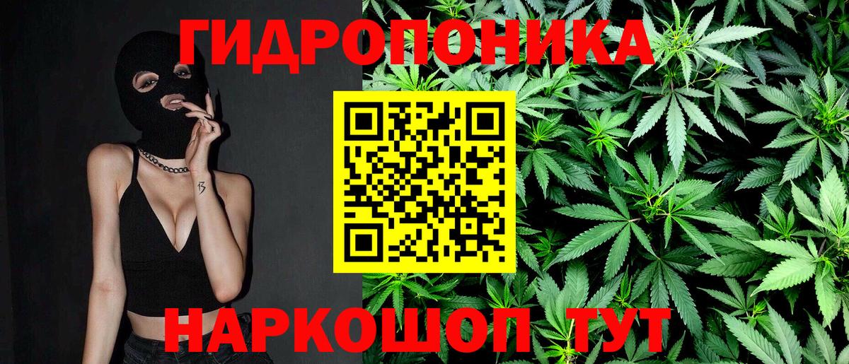 Шишки марихуана индика  Бошки Шишки марихуана  Вход с VPN  Конопля марихуана  Рязань  МАРИХУАНА AK-47 